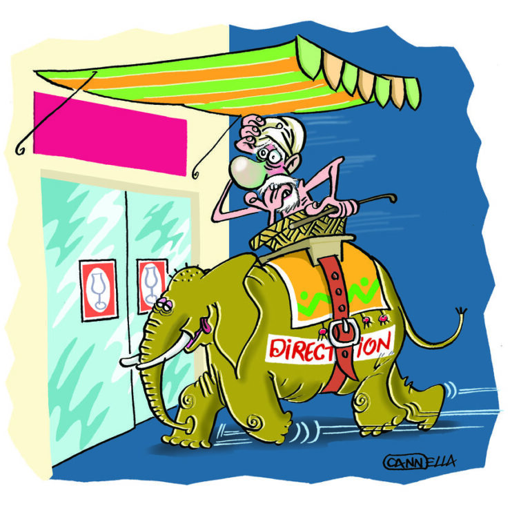 elephant magasin de porcelaine 2015