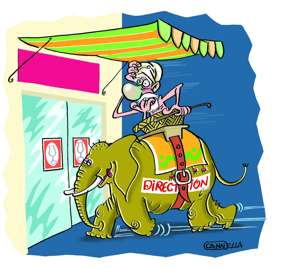 elephant magasin de porcelaine 2015