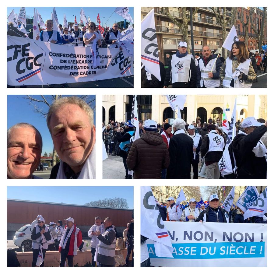 collage 2023 02 17 16 48 56