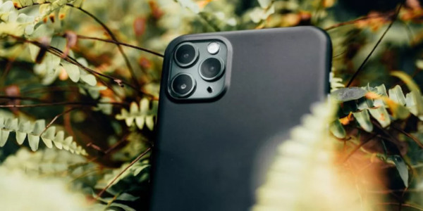 smartphone nature 062023