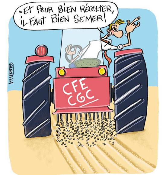 representants csee dogo